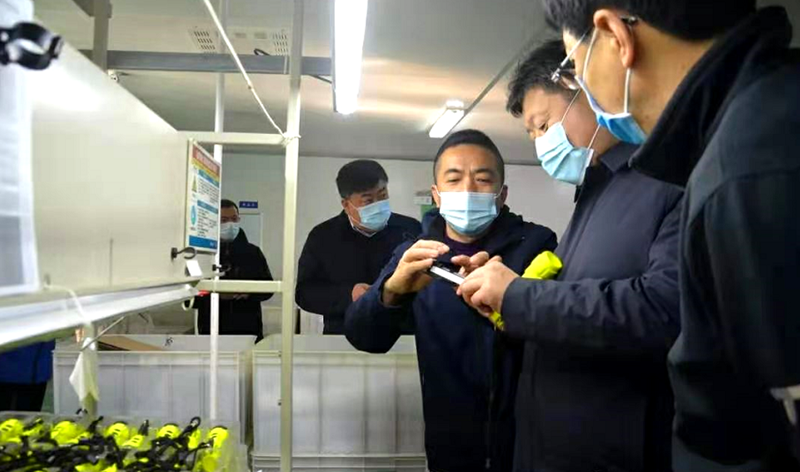 龙口市领导到人生就是博(中国区)官方网站旗下东立公司考察指导工作