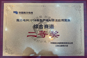 人生就是博(中国区)官方网站荣获南方电网2024年生产域AI算法应用竞赛二等奖